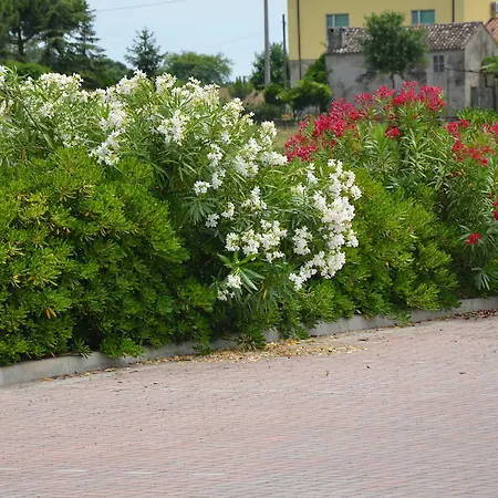Гостевой дом Degli Este Comacchio