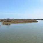 Konukevi Degli Este Comacchio Codigoro