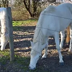 Konukevi Degli Este Comacchio *