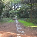 Degli Este Comacchio Codigoro
