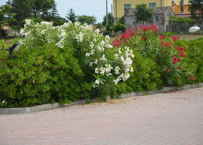 Πανσιόν Degli Este Comacchio
