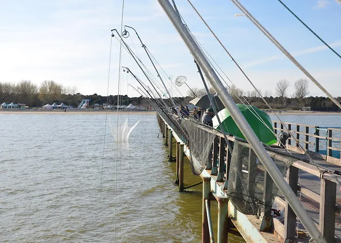 Degli Este Comacchio 코디고로