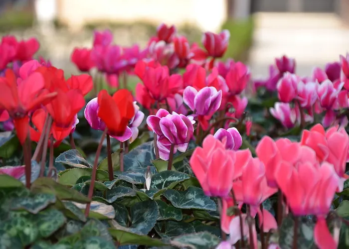 게스트하우스 Degli Este Comacchio